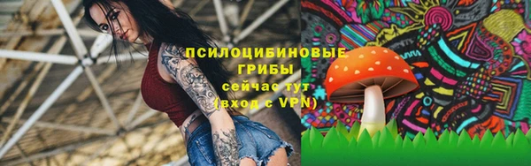 метадон Алексеевка